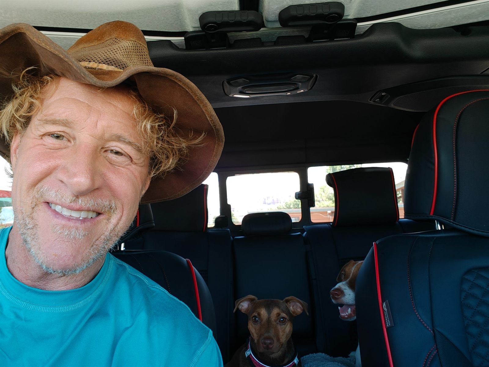 TY Cherry and the dogs on the road to Arizona
