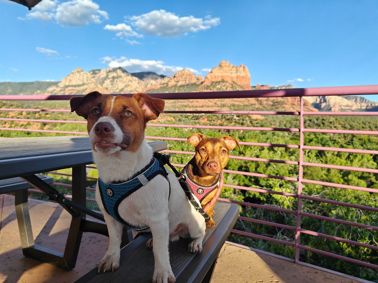 Sedona landscape
