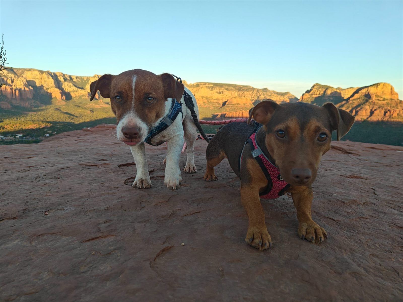 Sedona landscape
